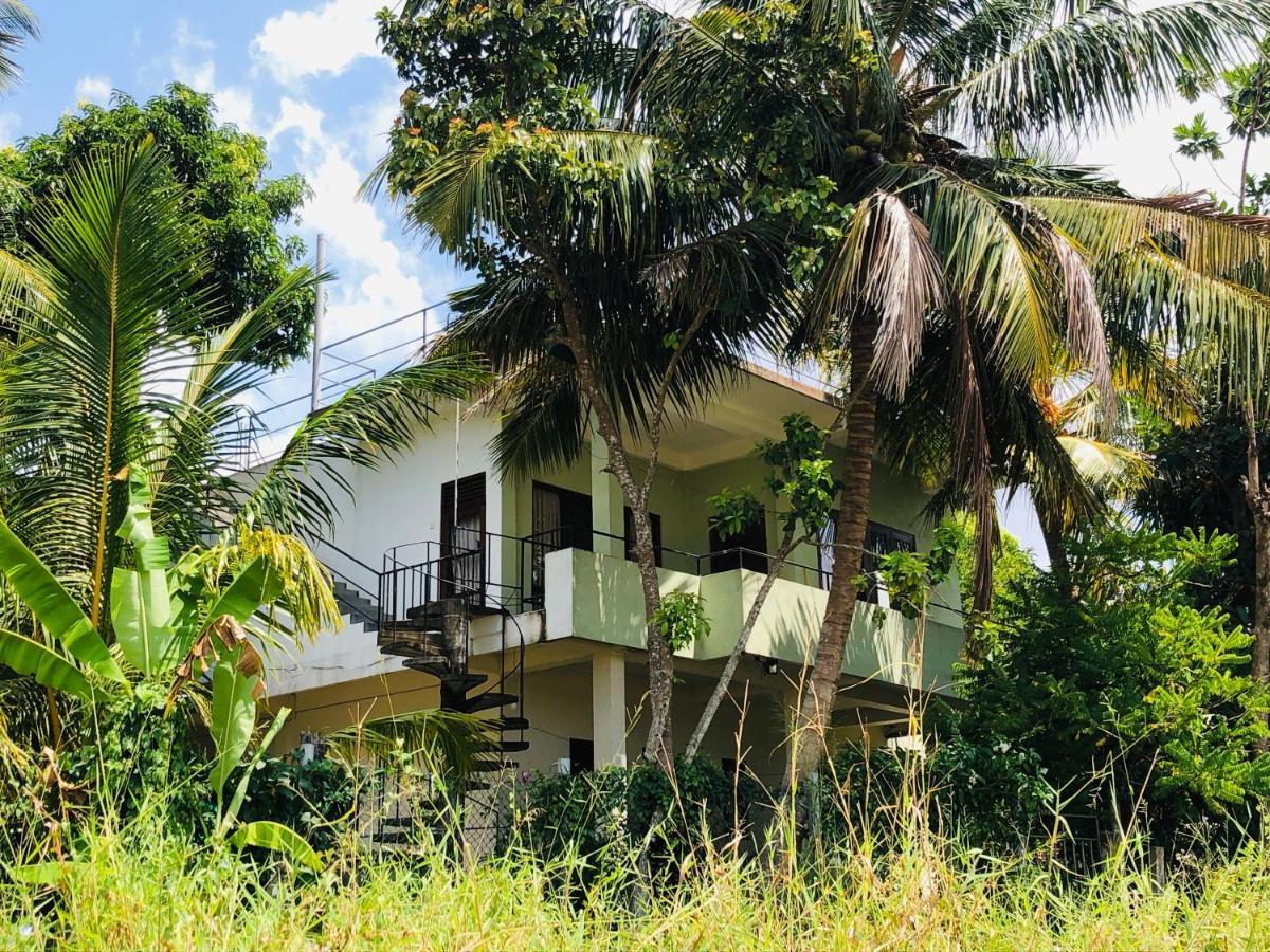 Rice Field View Home Stay Tangalle Exterior foto