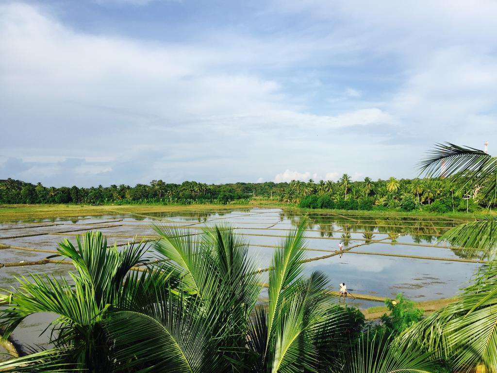 Rice Field View Home Stay Tangalle Habitación foto